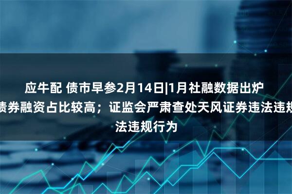 应牛配 债市早参2月14日|1月社融数据出炉 政府债券融资占比较高；证监会严肃查处天风证券违法违规行为