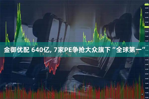 金御优配 640亿, 7家PE争抢大众旗下“全球第一”