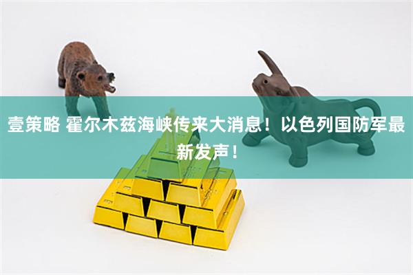 壹策略 霍尔木兹海峡传来大消息！以色列国防军最新发声！