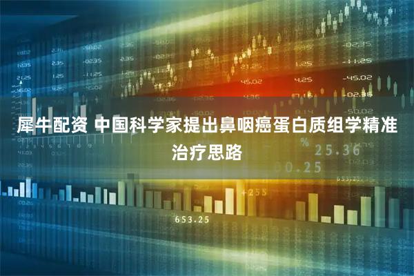 犀牛配资 中国科学家提出鼻咽癌蛋白质组学精准治疗思路