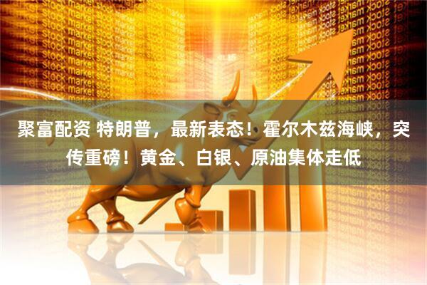 聚富配资 特朗普，最新表态！霍尔木兹海峡，突传重磅！黄金、白银、原油集体走低